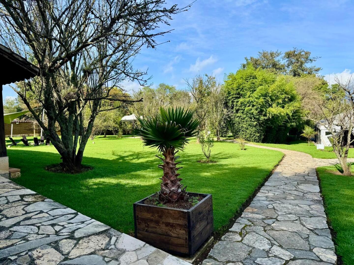 Uvence Arte + Hotel San Cristóbal de Las Casas Eksteriør bilde